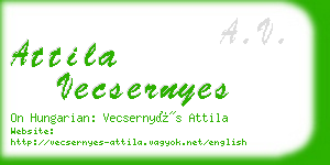 attila vecsernyes business card